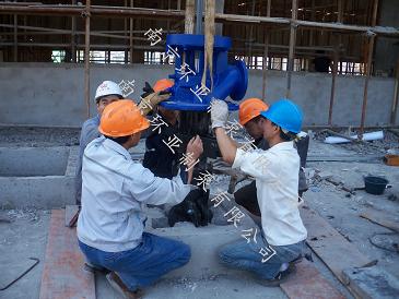 南京龍潭(tán)水廠用 300rjc185-12*4長(zhǎng)軸深井泵指導(dǎo)安裝(zhuāng)完畢(圖2)